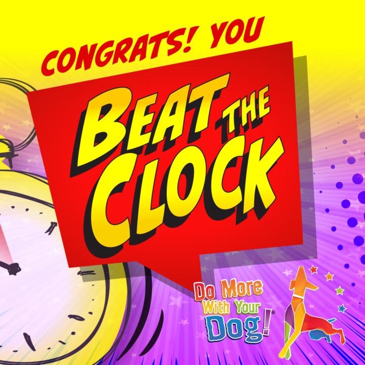 Congratulations Brittany & Willow