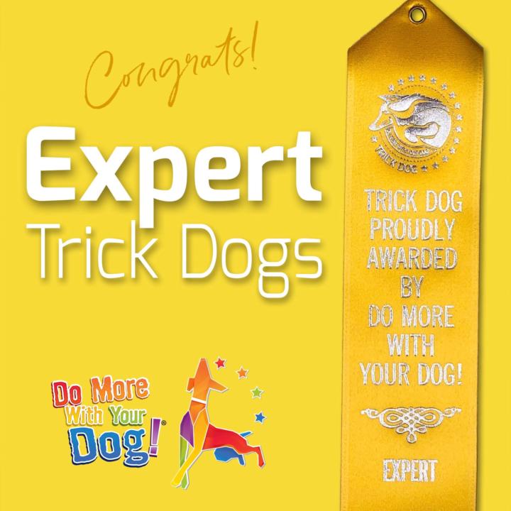 Congratulations Naomi & Hattie!