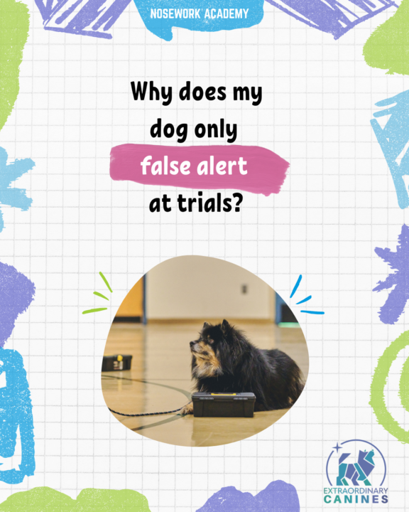 Nosework False Alerts