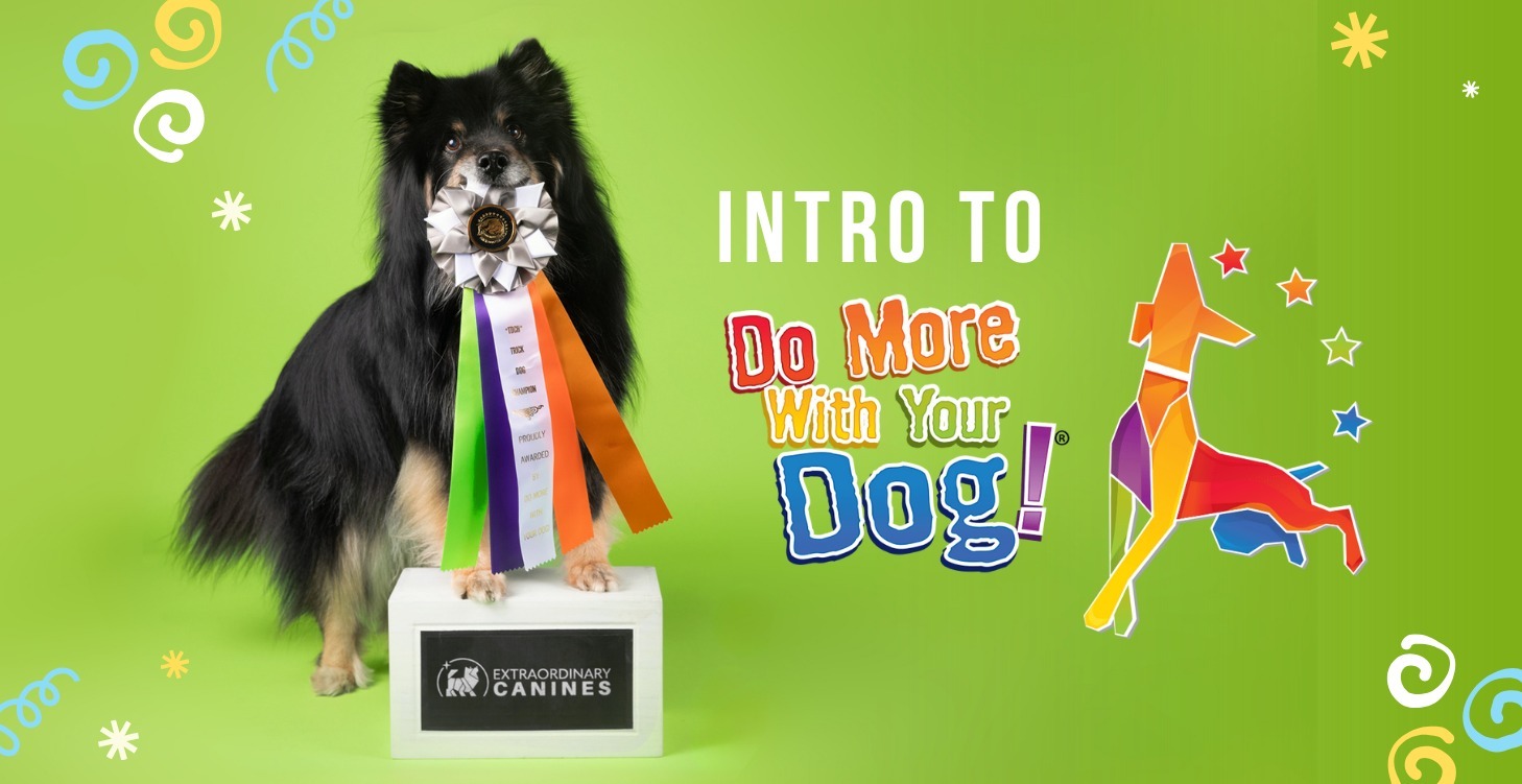 Do More With Your Dog Trick Titles