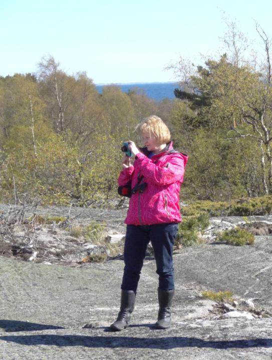 Sinikka Tapio