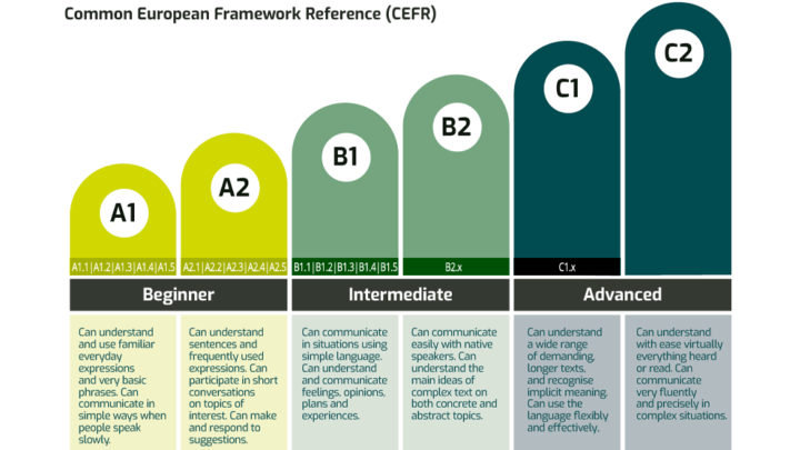 Reminder: New JANUARY German Classes (A1-C1) starting tomorrow