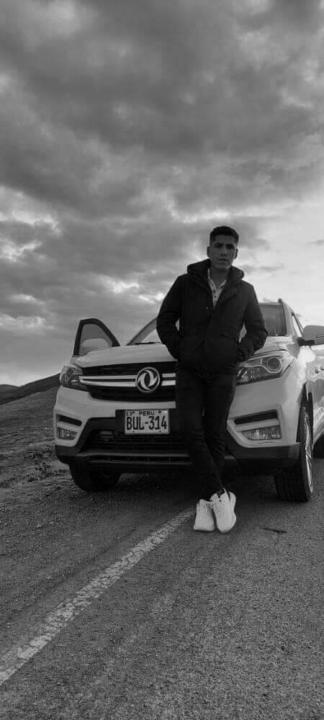 Romario Palomino sullca