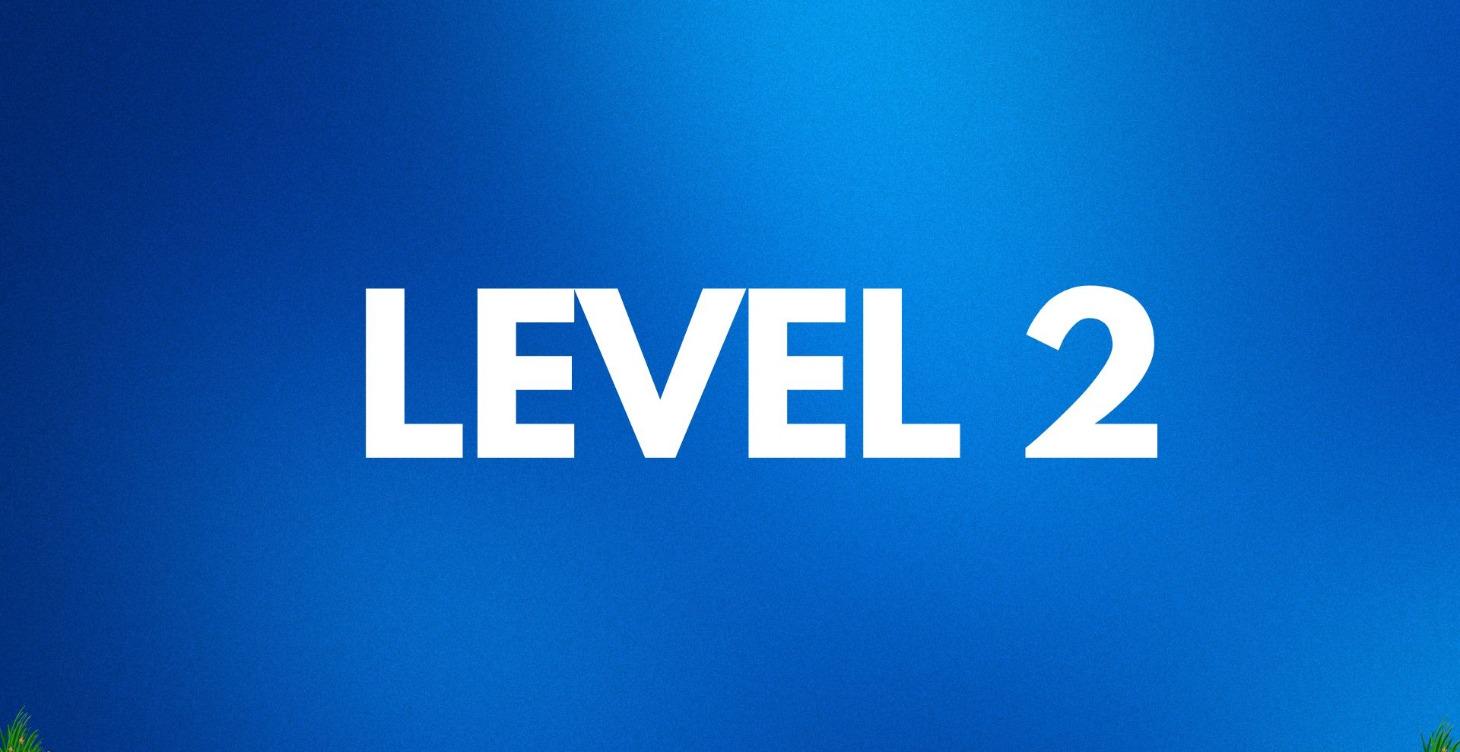 LEVEL 2