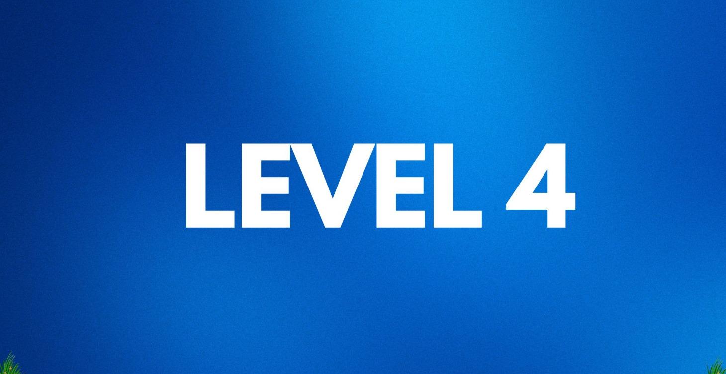 LEVEL 4