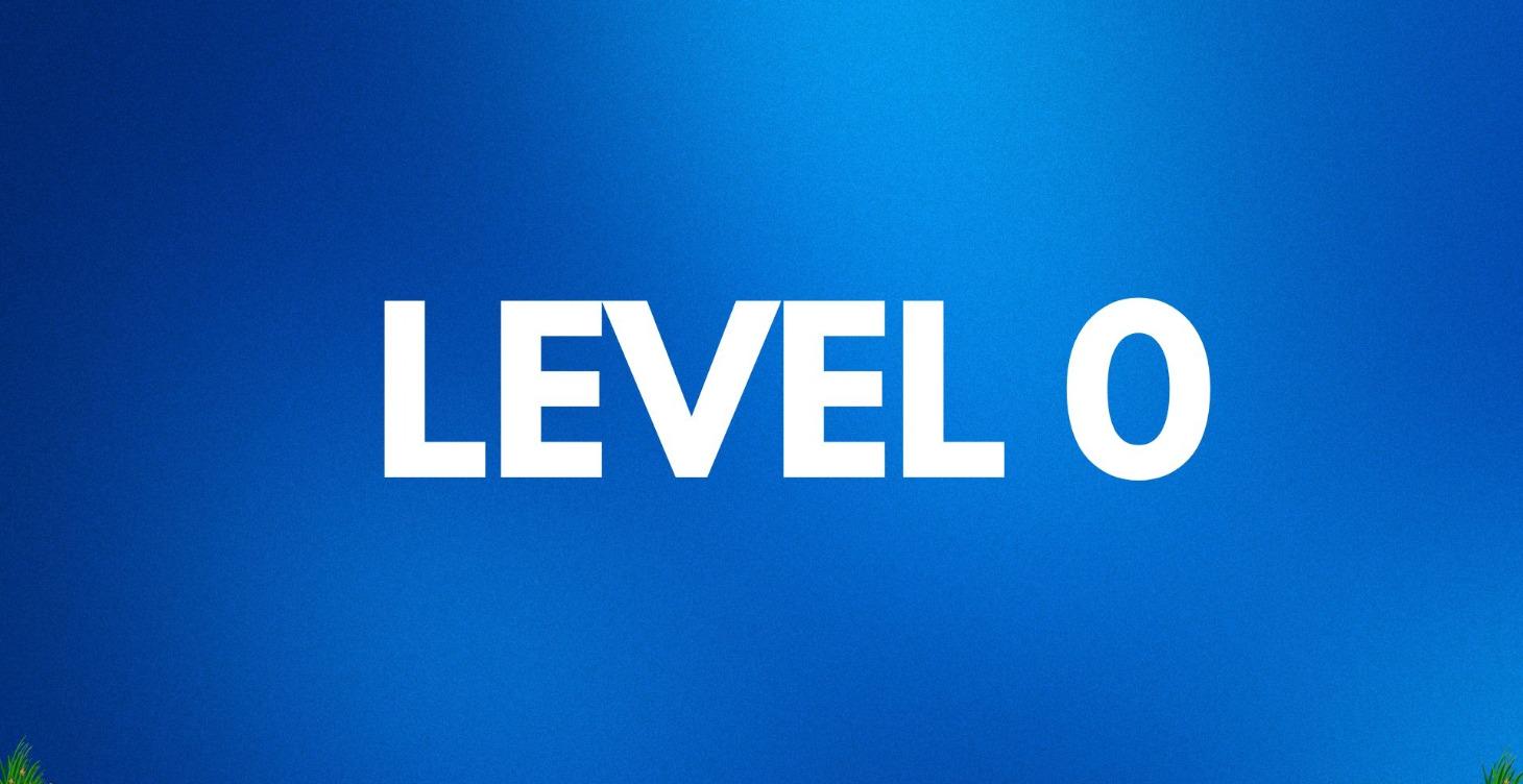 Level 0