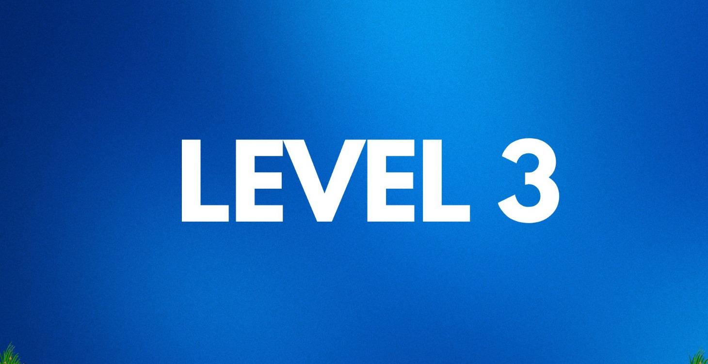 LEVEL 3