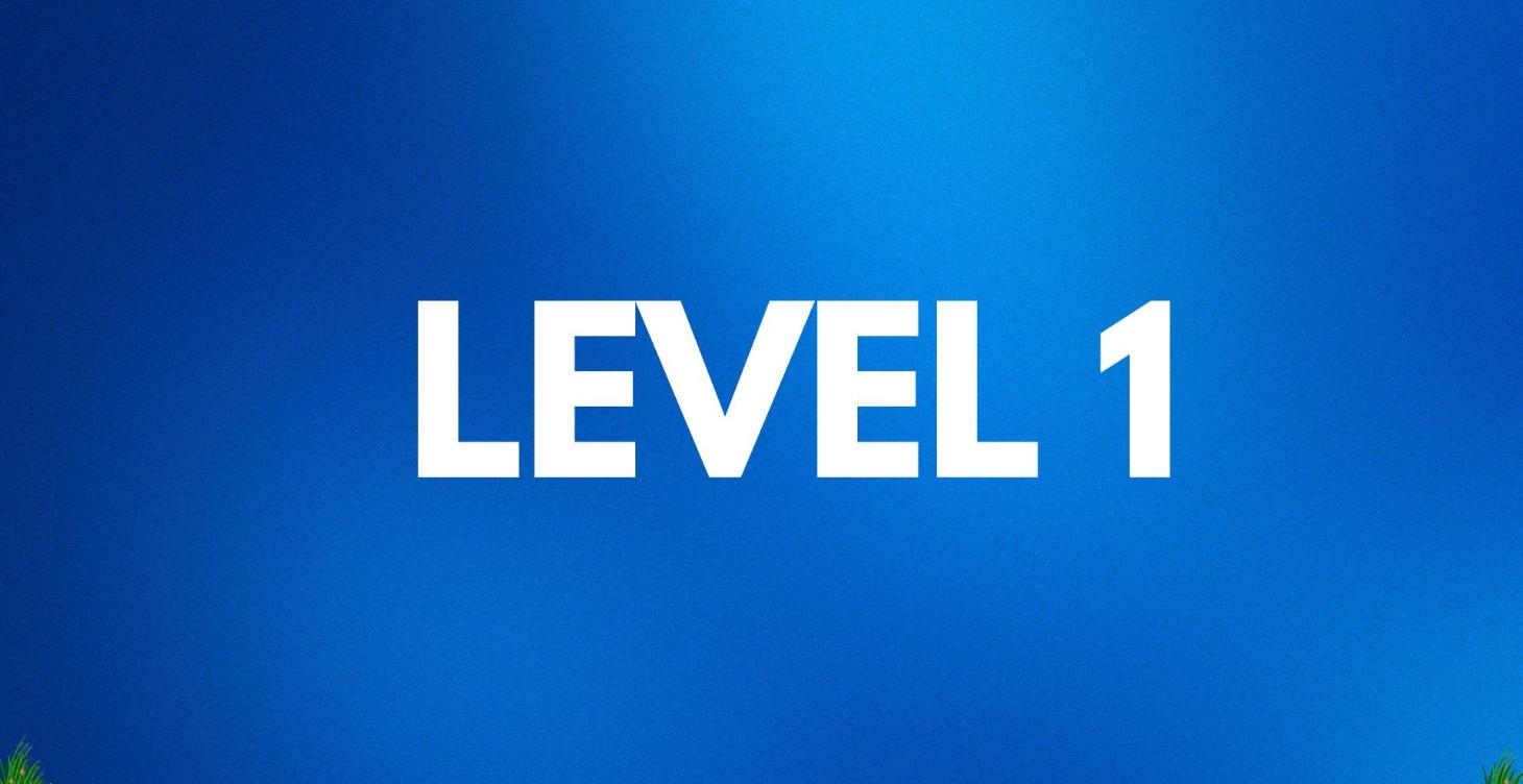 LEVEL 1
