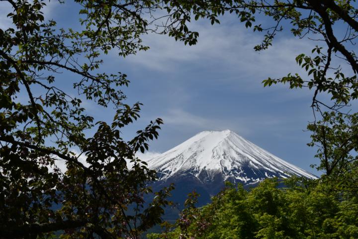 Sueños de Bendición y Crecimiento