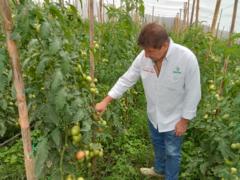 Luis Fernando Giraldo