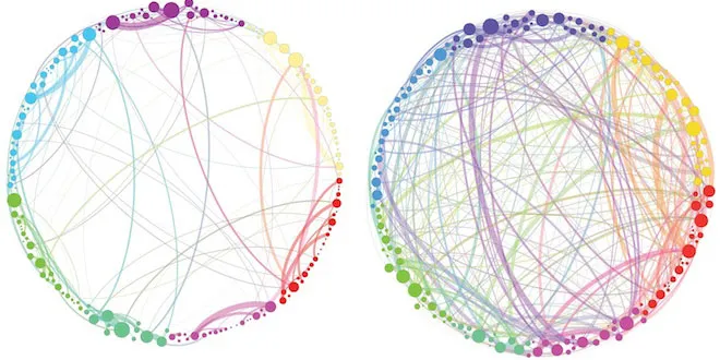 Das passiert im Hirn, wenn man »Magic Mushrooms« isst 🧠