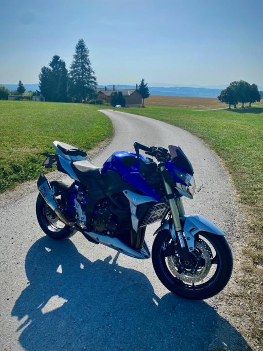 Leonardo Morgado Ferreira