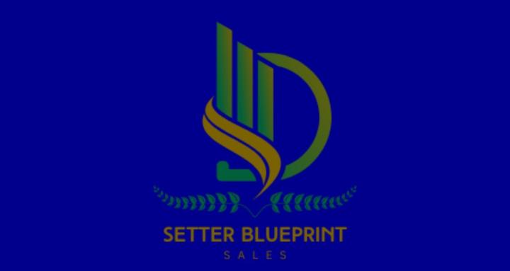 The Setter Blueprint