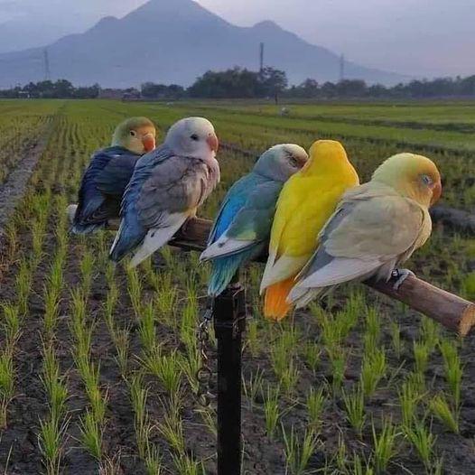 Impromptu coffee & chat sessions?