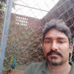 Muralidharan P