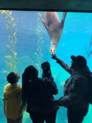 Christopher Atchison