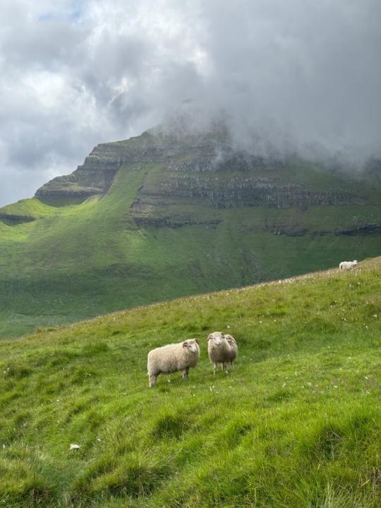 Ariadna Puigvert Bagué