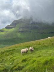 Ariadna Puigvert Bagué
