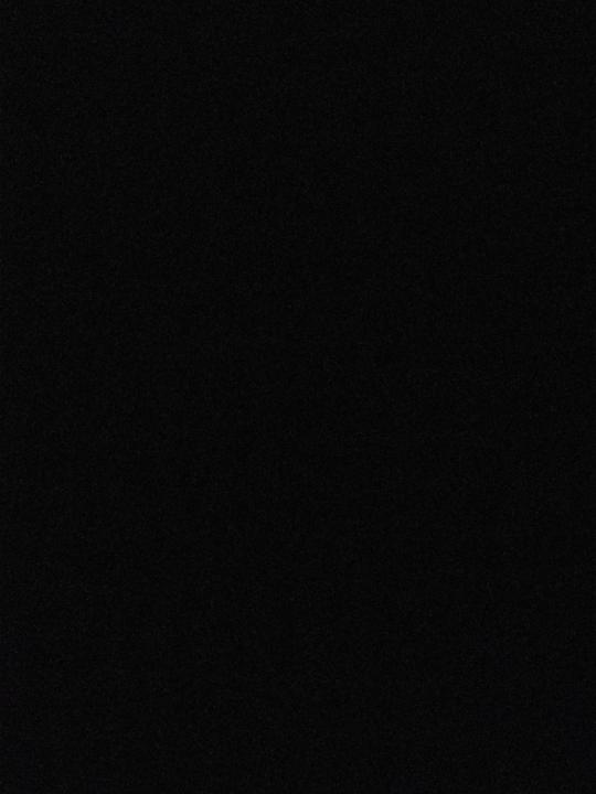 Alicia- Digital boss collective