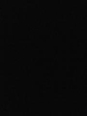 Alicia- Digital boss collective