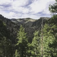 Michelle Cortes-Harkins