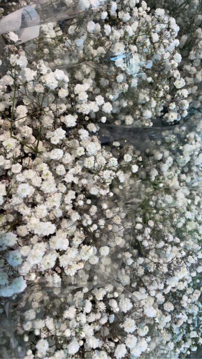 Elsa Milena Espinosa