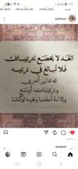 Alaa Ahmed