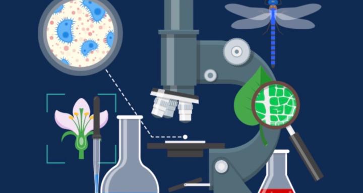 Caitlyns Peptide Support Group