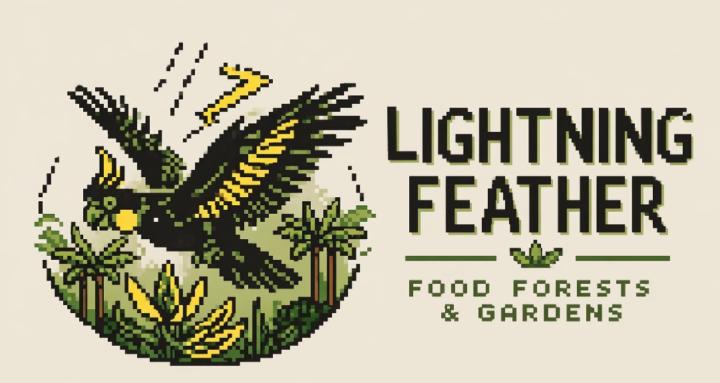 Lightning Feather Foodscapes