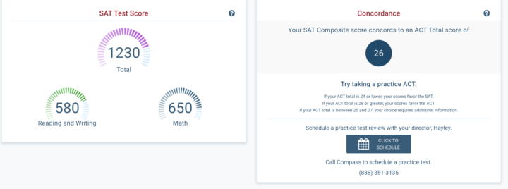 SAT Progress and Goals