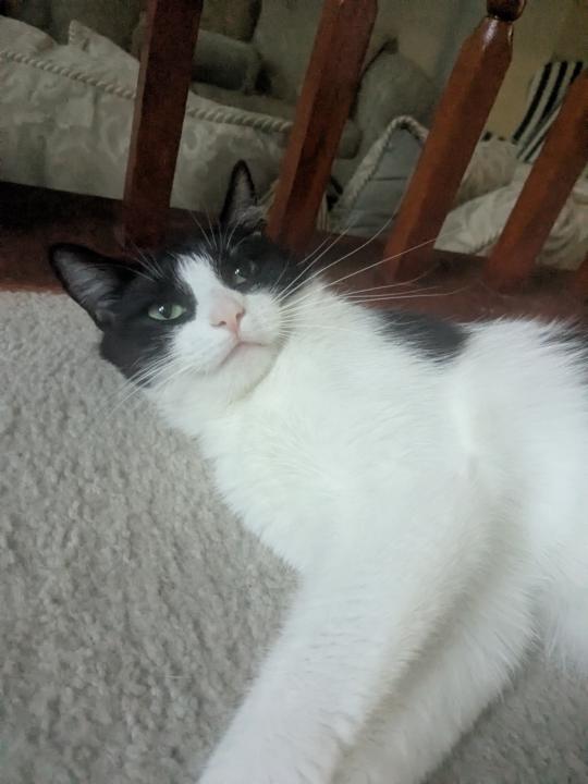 Other than the SAT.. what else are you all desiring to achieve? 