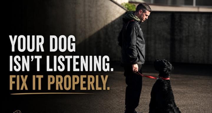 Lee Dog Training System
