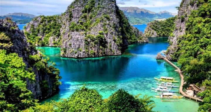 Bringing Wellness Home