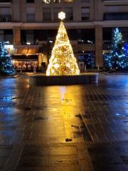 Marie-pierre-grace Liso