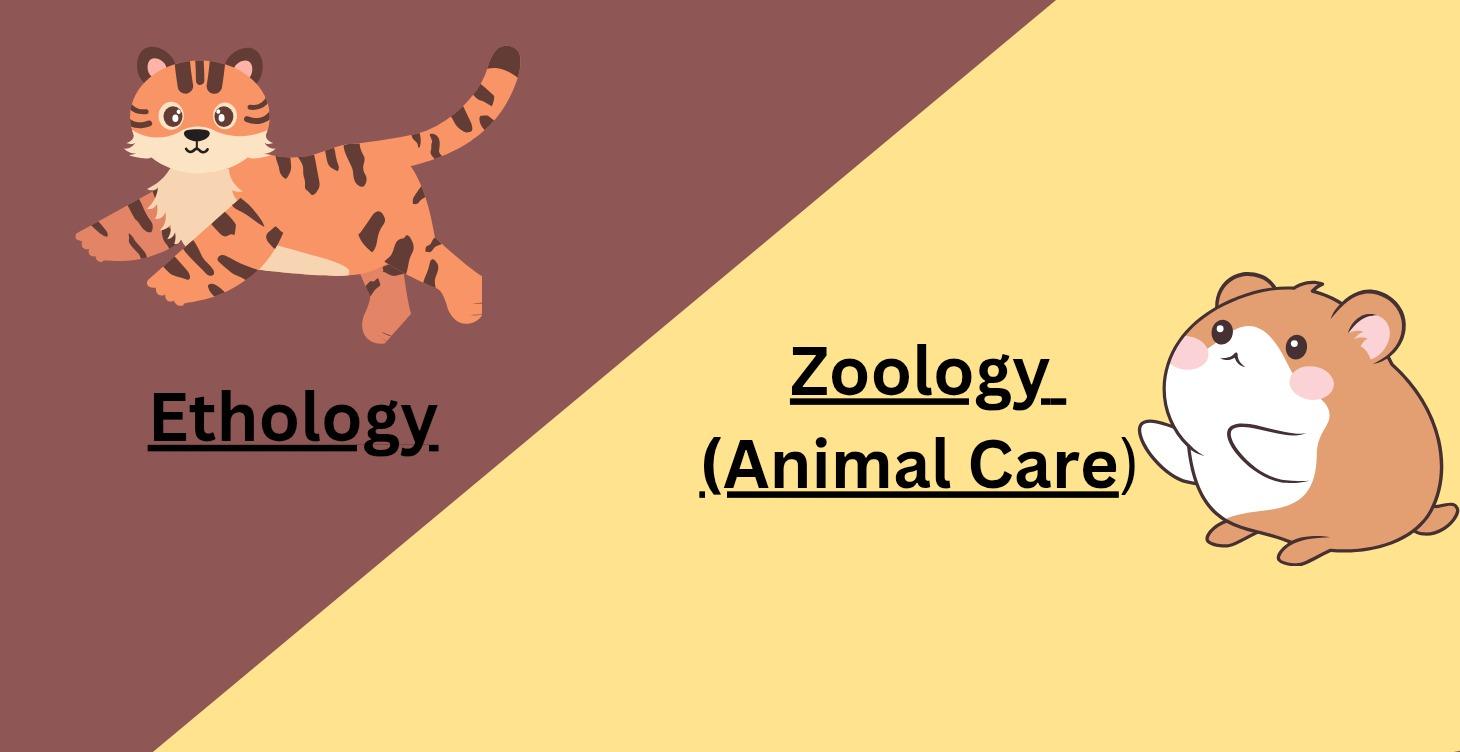 Animal Care