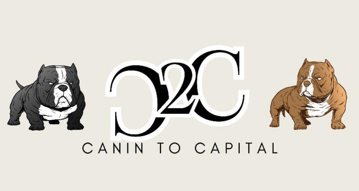 Canine to Capital
