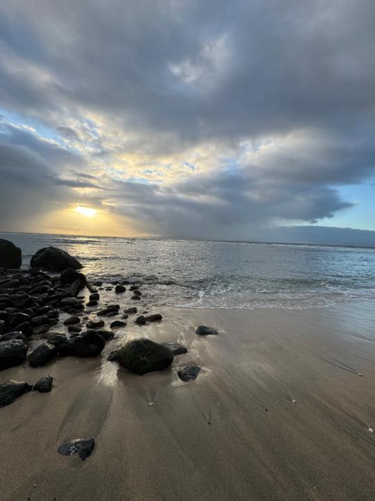 Michael James Livergood