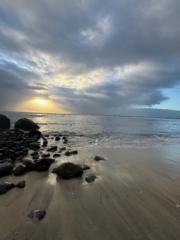 Michael James Livergood