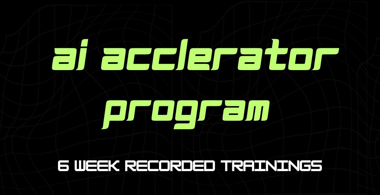 AI Accelerator Program