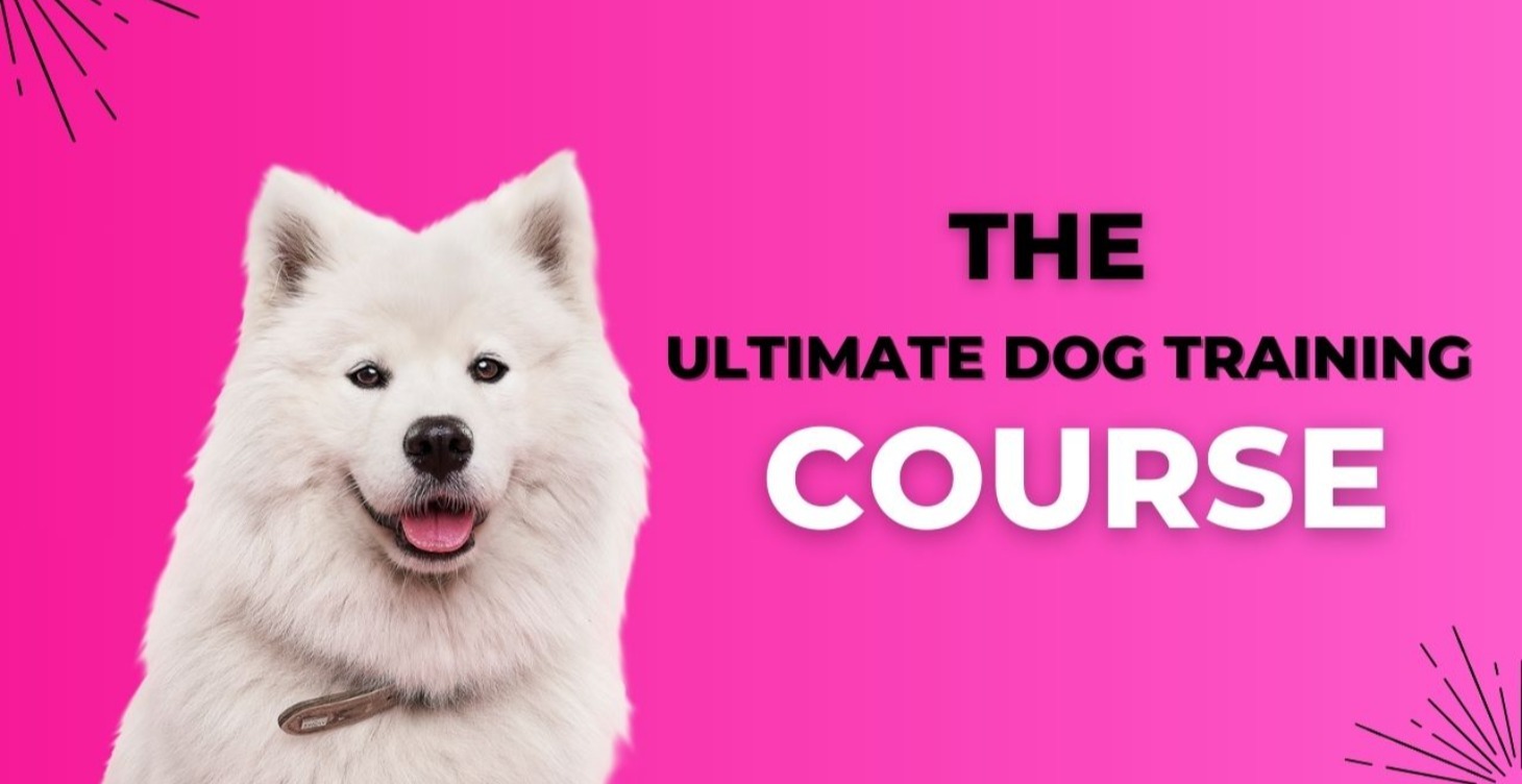 The Ultimate Dog Training Course