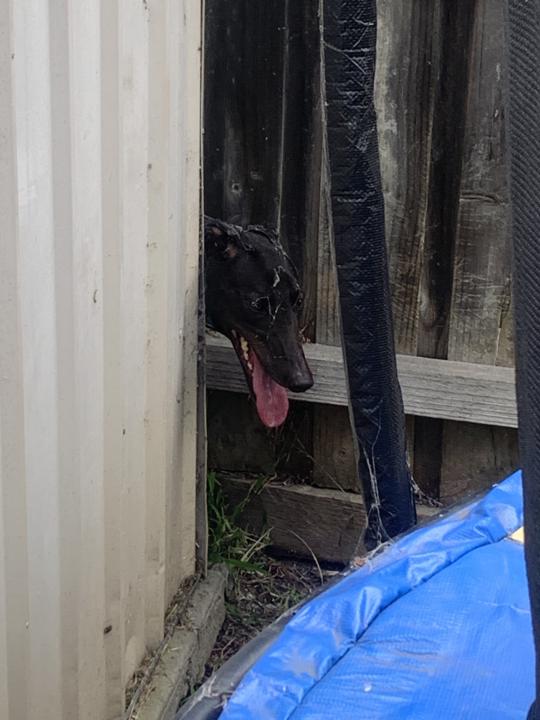 Mid December Self-Care Check In