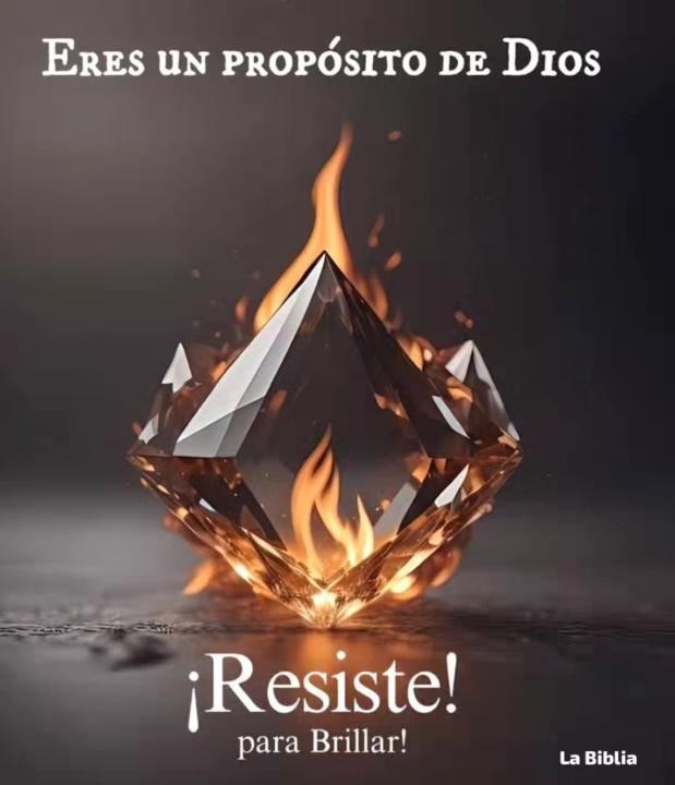 Jose Manuel LibreMente