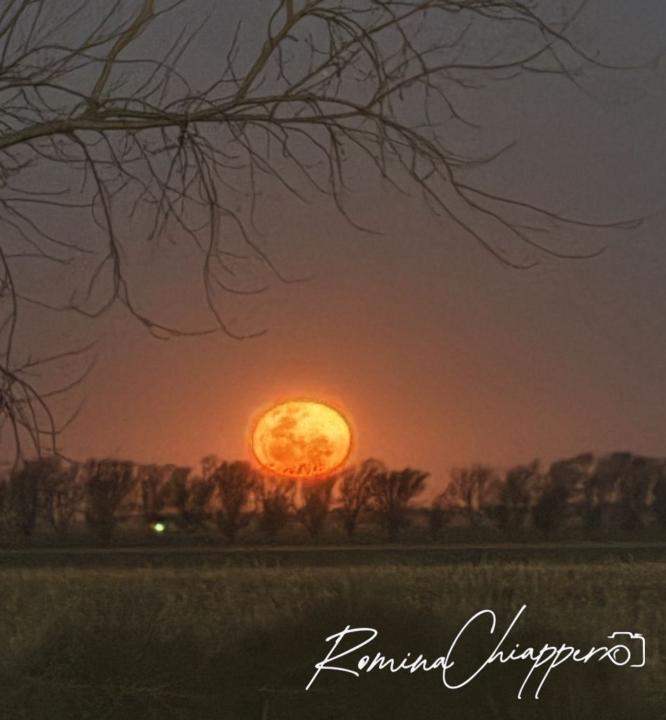 Florencia Pierantonelli