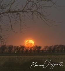 Florencia Pierantonelli