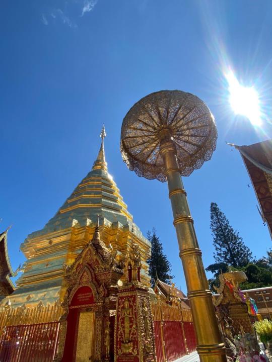 Toñi Dominguez santana