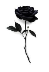 Wood Charly Walkerson Dumene