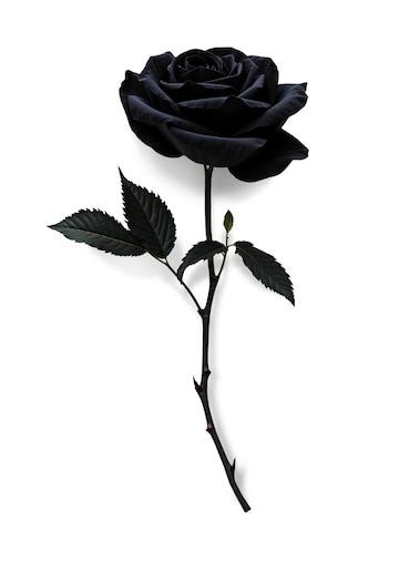 Wood Charly Walkerson Dumene