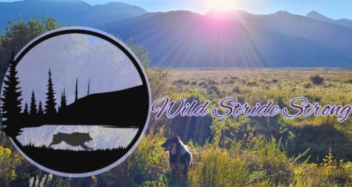 Wild Stride Strong: The Pack