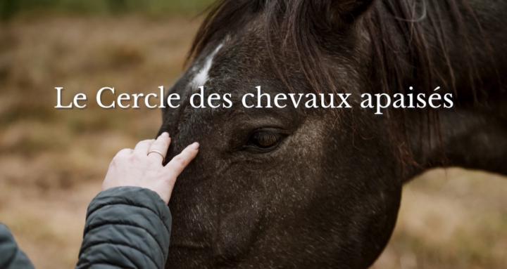 Le Cercle des chevaux apaisés