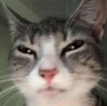 Is Artash